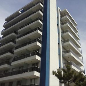 Arenas 204